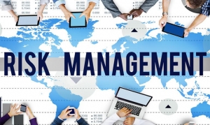 Basics of Risk Assessment & Management